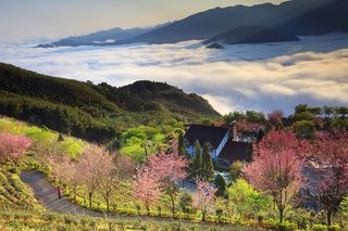 带父母逃离酷暑，这个地方夏天只有23度