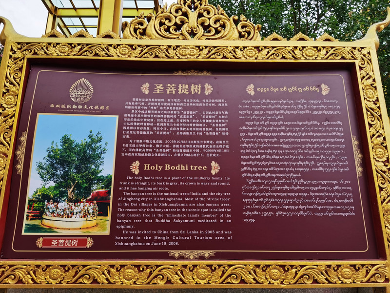 昆明旅游网