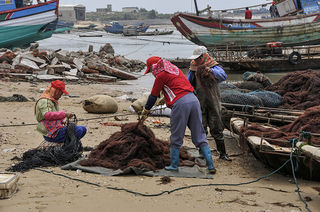 劳动中的惠安女（摄于2016年）