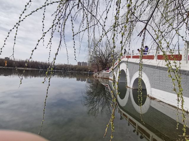 青城公园旅行图片 4