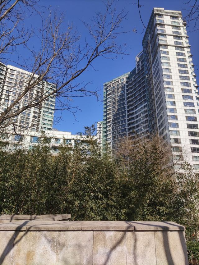 CBD历史文化公园旅行图片 9