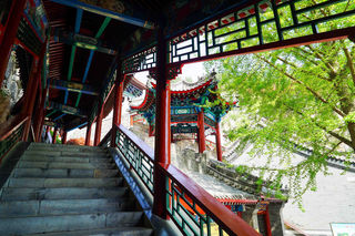 我们怎么还不见面?连春天都要生气了!