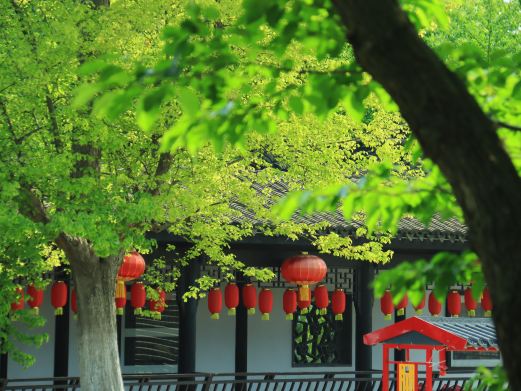 香山景区