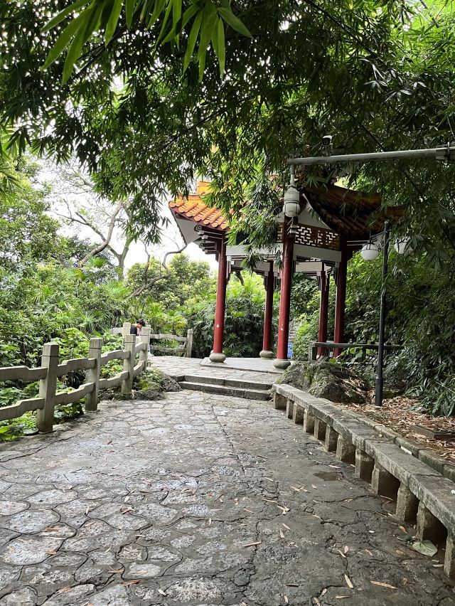 马鞍山公园旅行图片 2