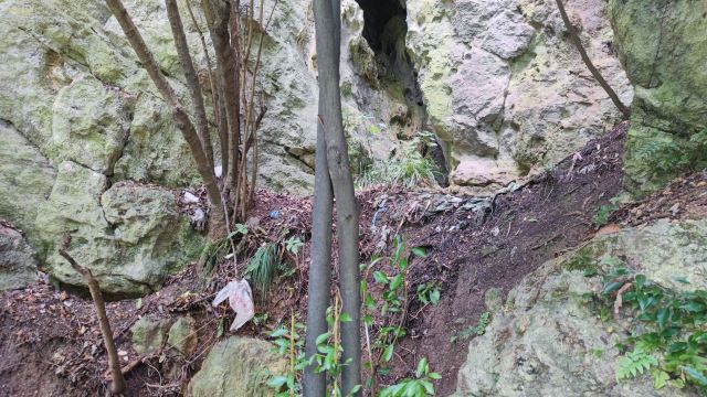 洒金公园旅行图片 4