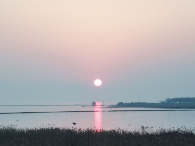 巢湖湿地旅行图片 4