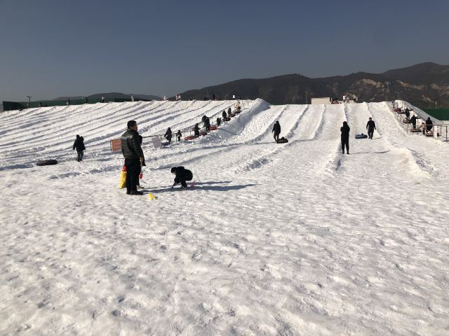 太原康培稻田公园旅行图片 1