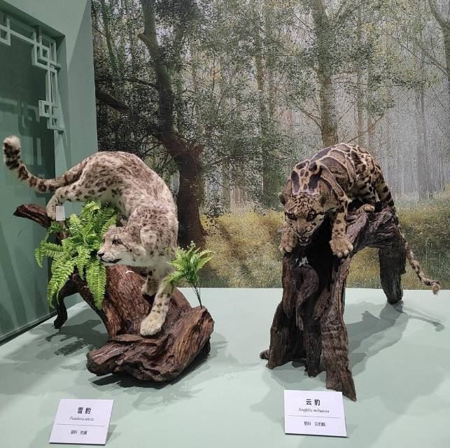 Gallery 2