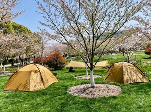 宁波露营地推荐,这三个小众露营地,实在是太巴适了!