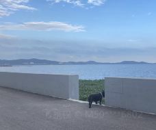 竺山湖-常州-M50****6802