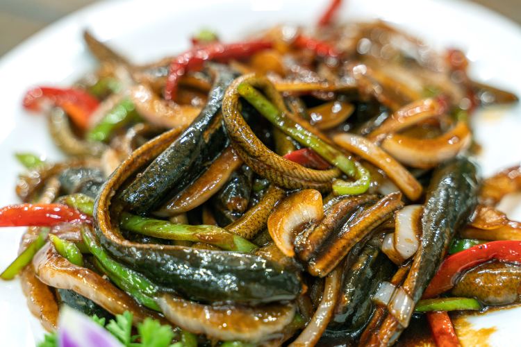 Soft-hooded Long Fish