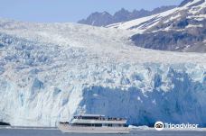 Kenai Fjords Tours-西沃德