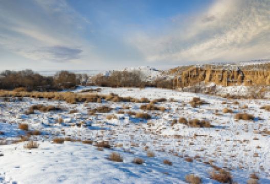 神木园景点图片