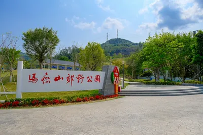 马峦山郊野公园