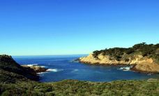 洛博斯角州立保护区-蒙特雷县-小小呆60