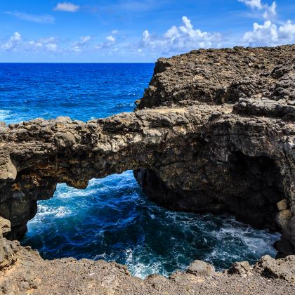 毛里求斯海豚湾7日6晚私家团