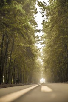 蟒山国家森林公园-北京