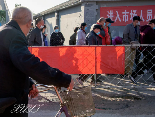 徐屹：北京沙河集市中的宠物市场
