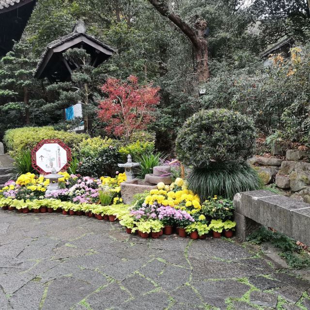 阳光星期八公园旅行图片 3