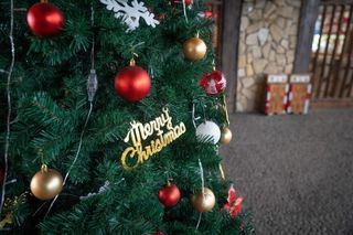 长鹿双“旦”潮玩欢乐节带你体验白色浪漫！周末欢畅游还带丰盛午餐！