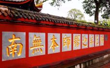 报国寺-峨眉山-轻轻的一个蚊