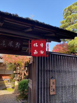 日本抹茶茶道初体验【京都宇治】