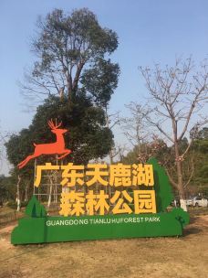 天鹿湖森林公园-广州-YoYo_9R6Z7S0R