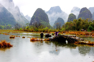 临桂区游记图文-临桂四塘乡田心村，一个不断演绎的田园往事：老桥、老农和老牛