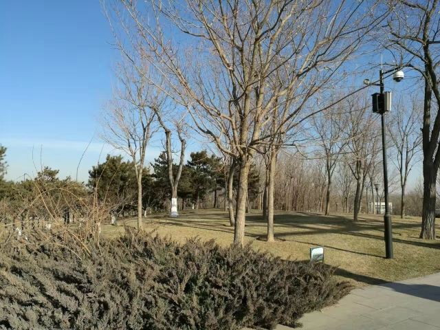 大望京公园旅行图片 5