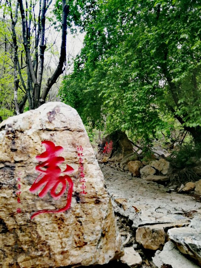 核伙沟森林公园旅行图片 7