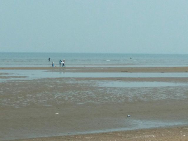 夏家河子海滨景区旅行图片 2