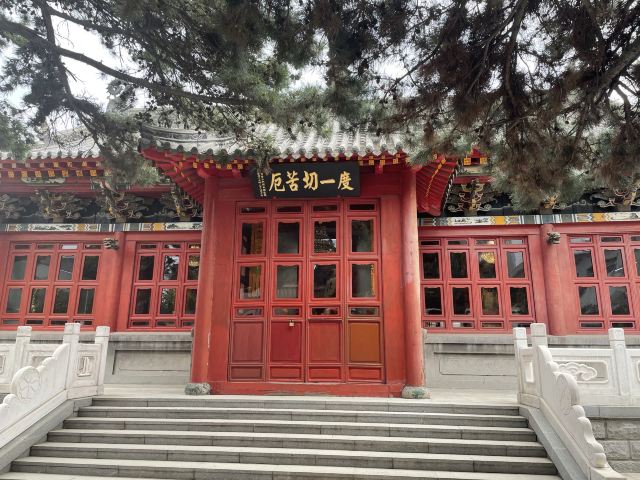 护国般若寺旅行图片 5