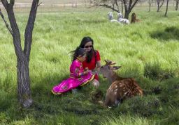 travel picture