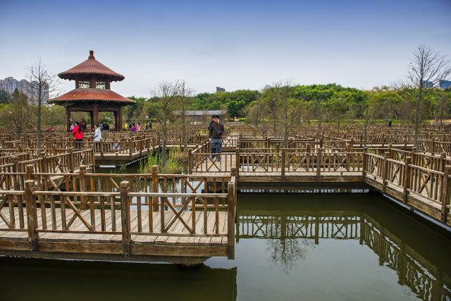 五缘湾湿地公园旅行图片 3