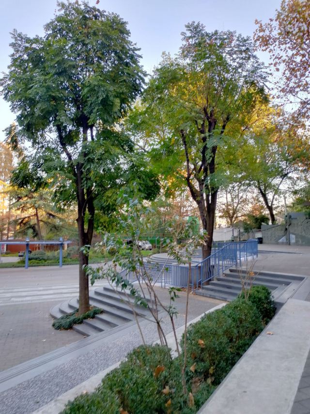 汉阳门花园旅行图片 15