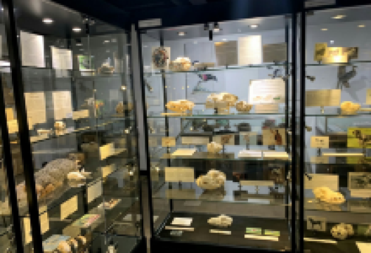 Georgia Museum of Natural History景点图片