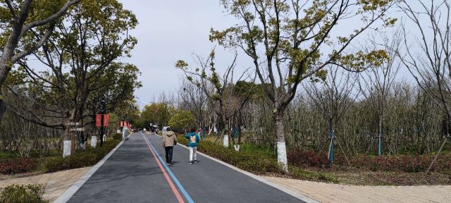 合庆郊野公园旅行图片 3