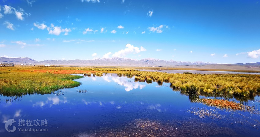 若爾蓋花湖生態旅遊區