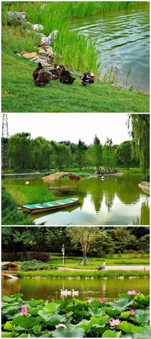 四得公园旅行图片 5