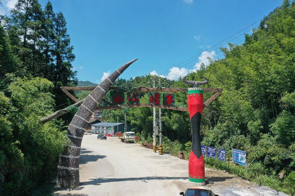 夏日漂流正当时：常宁西江漂流邀您体验“速度与激情”