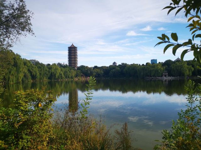 未名湖旅行图片 1