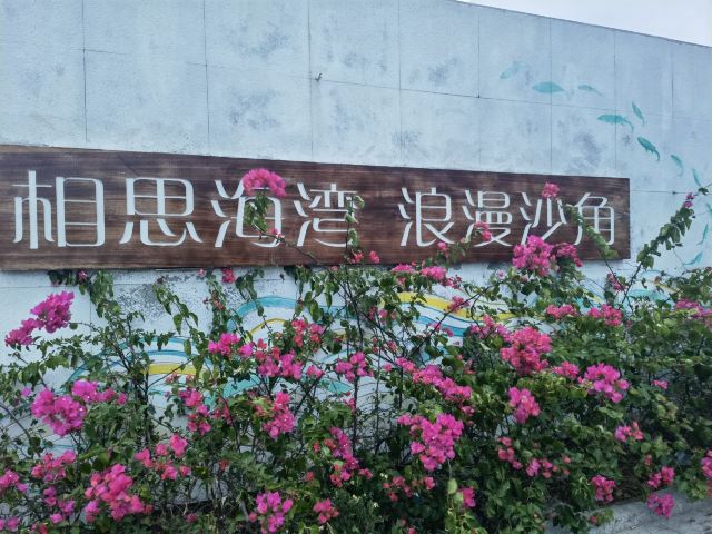中屿景区旅行图片 5