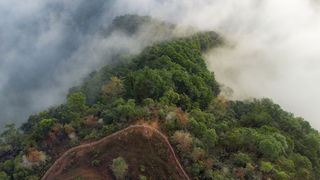 在景谷芒卡熙康云舍，住进森林氧吧