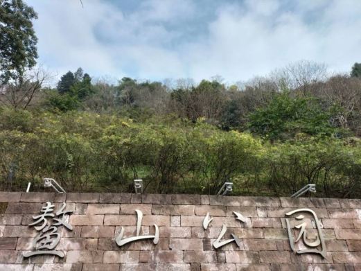鳌山湾森林公园天柱山