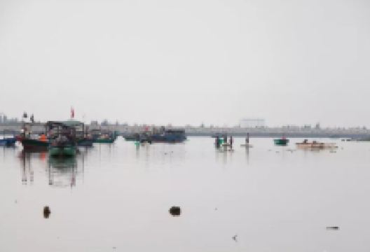 干冲港景点图片