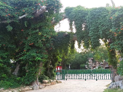 德州市植物园