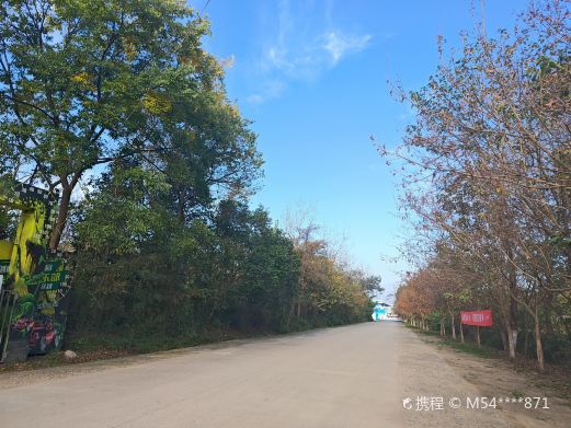 剑南春森林公园