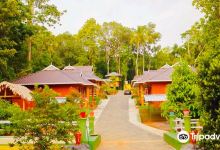 Thattekad Bird Sanctuary景点图片