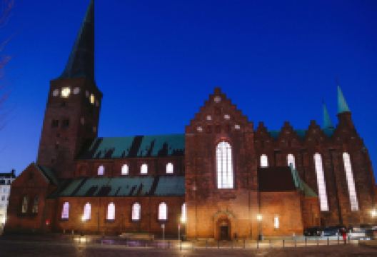 奥胡斯主教座堂景点图片