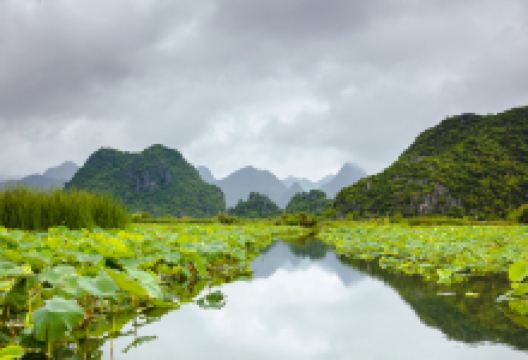 普者黑天鹅湖-1号观景点景点图片